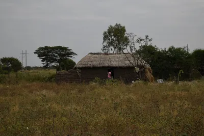 DSC_3146 (Large).JPG